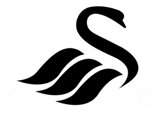 Swansea badge, minus lettering